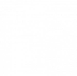 Management_Icons