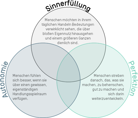 Motivation-Autonomie,Sinnerfüllung und Perfektion Beschreibung der 3 zu kombinierenden Grundaspekte von Motivation-Autonomie,Seinnerfüllung und Perkfektion. Motivation ist ein Grundstien für agiles Mindset.