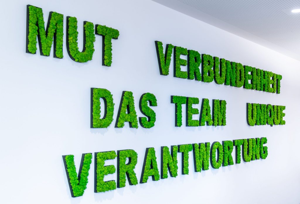 Werte Darstellung der Unternehmenswerte von Achtzig20. diese entsprechen unter anderem einem agilen Mindset