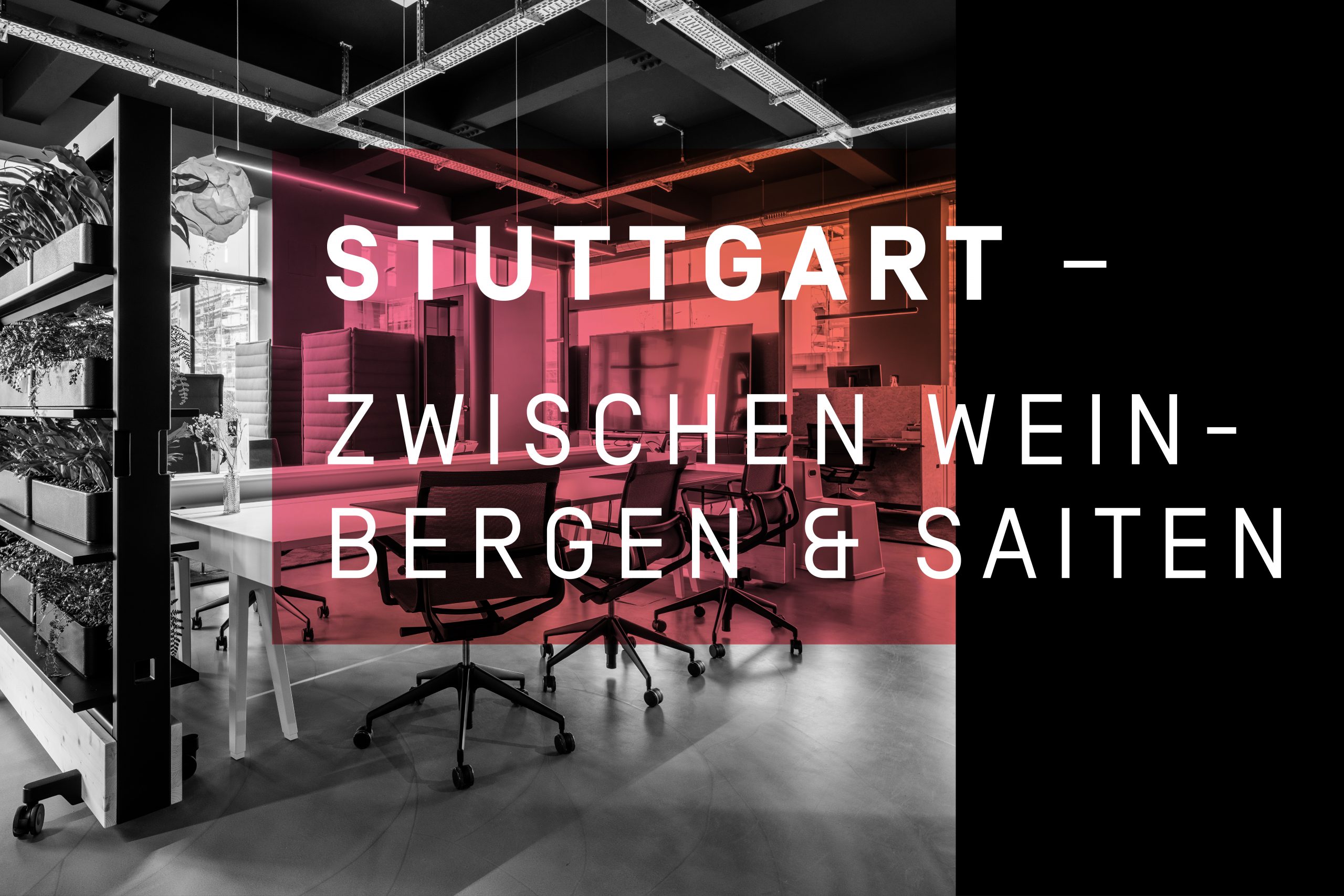 Read more about the article Stuttgart – Zwischen Weinbergen und Saiten