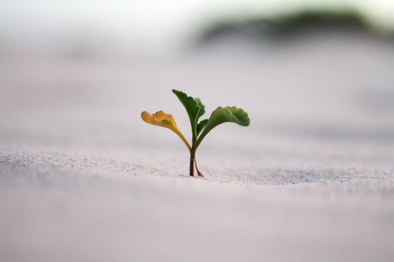 jeremy-bishop-vGjGvtSfys4-unsplash (1)