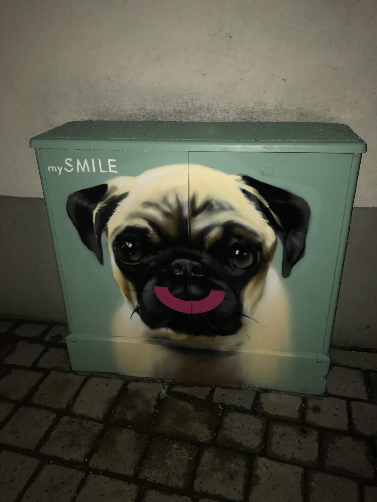 mySMILE-in-Ingolstadt-Achtzig20-Startup
