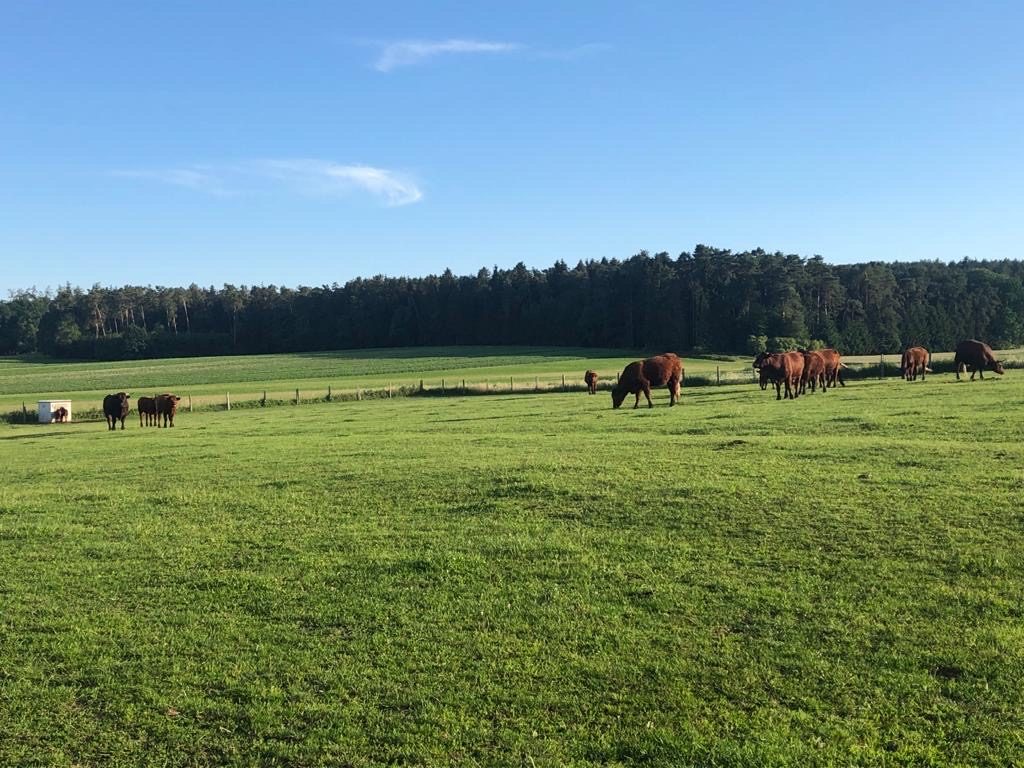 ImpressionBayern