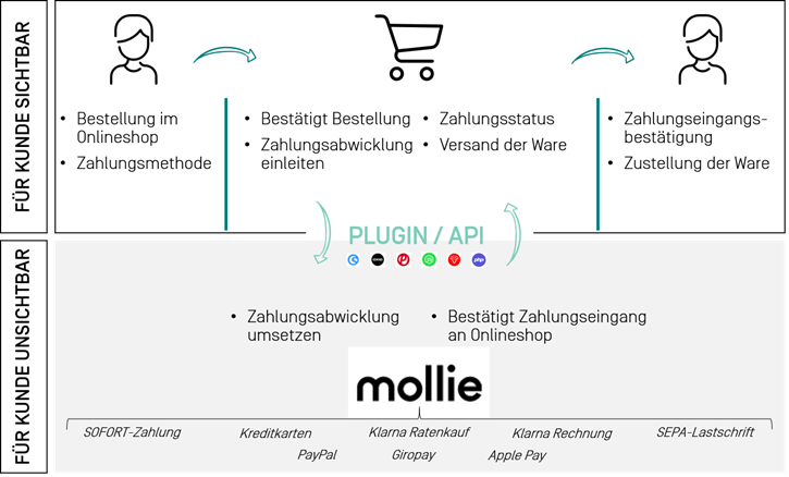 MolliSystem